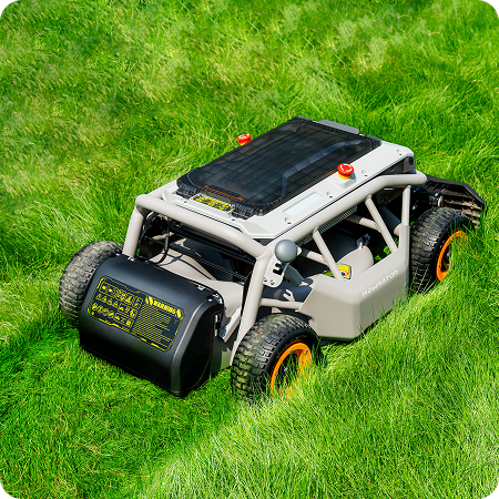 key takeaways mowrator